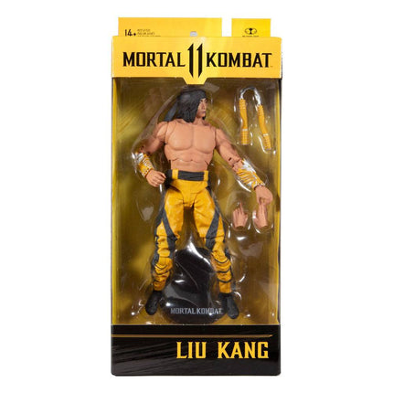 Liu Kang (Fighting Abbott) Mortal Kombat Action Figure 18 cm